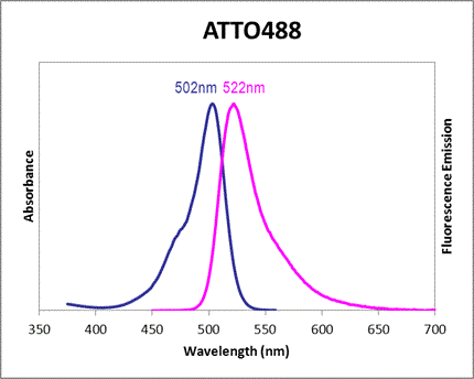 Absorbance and Fluorescence Emission